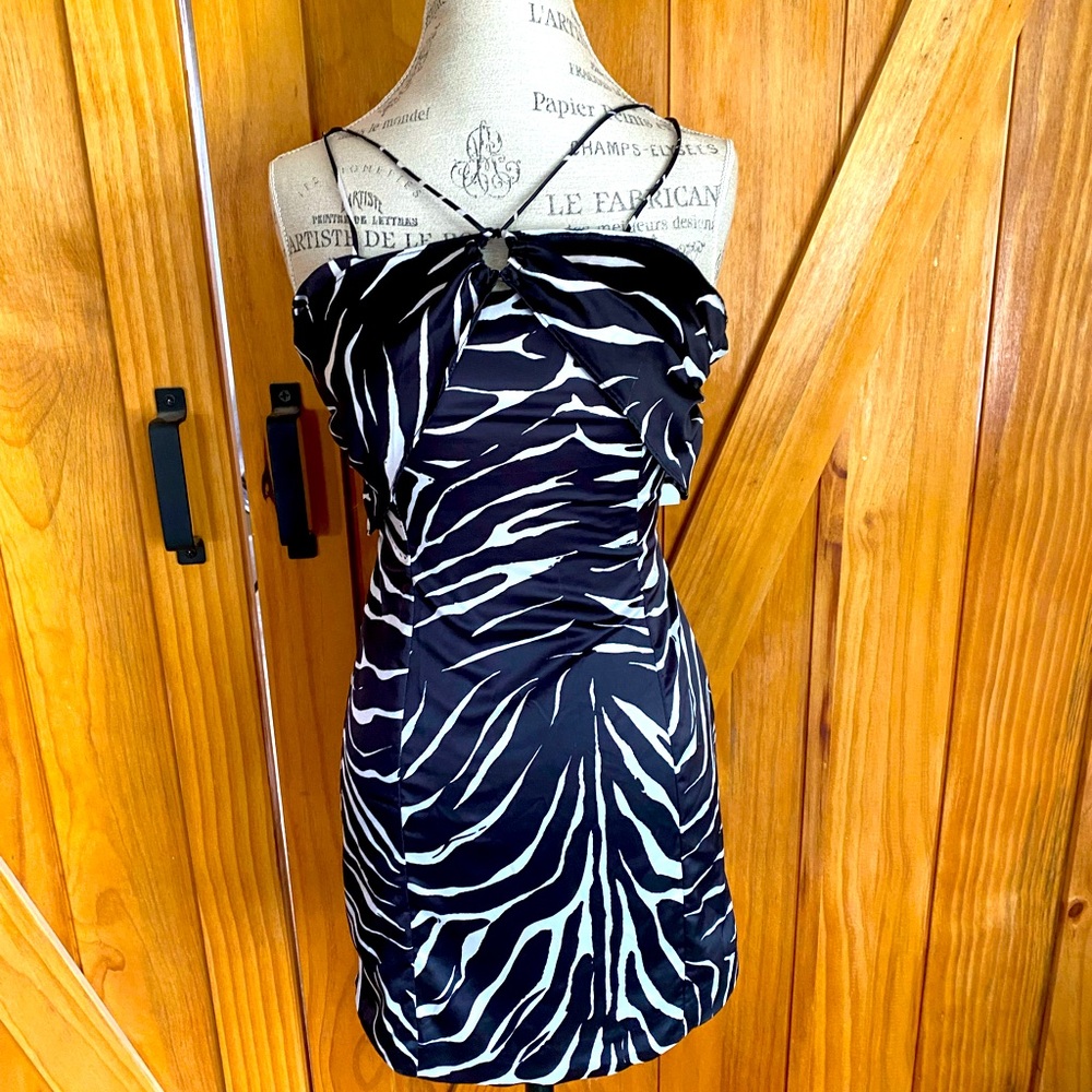 NWT Zara zebra mini dress